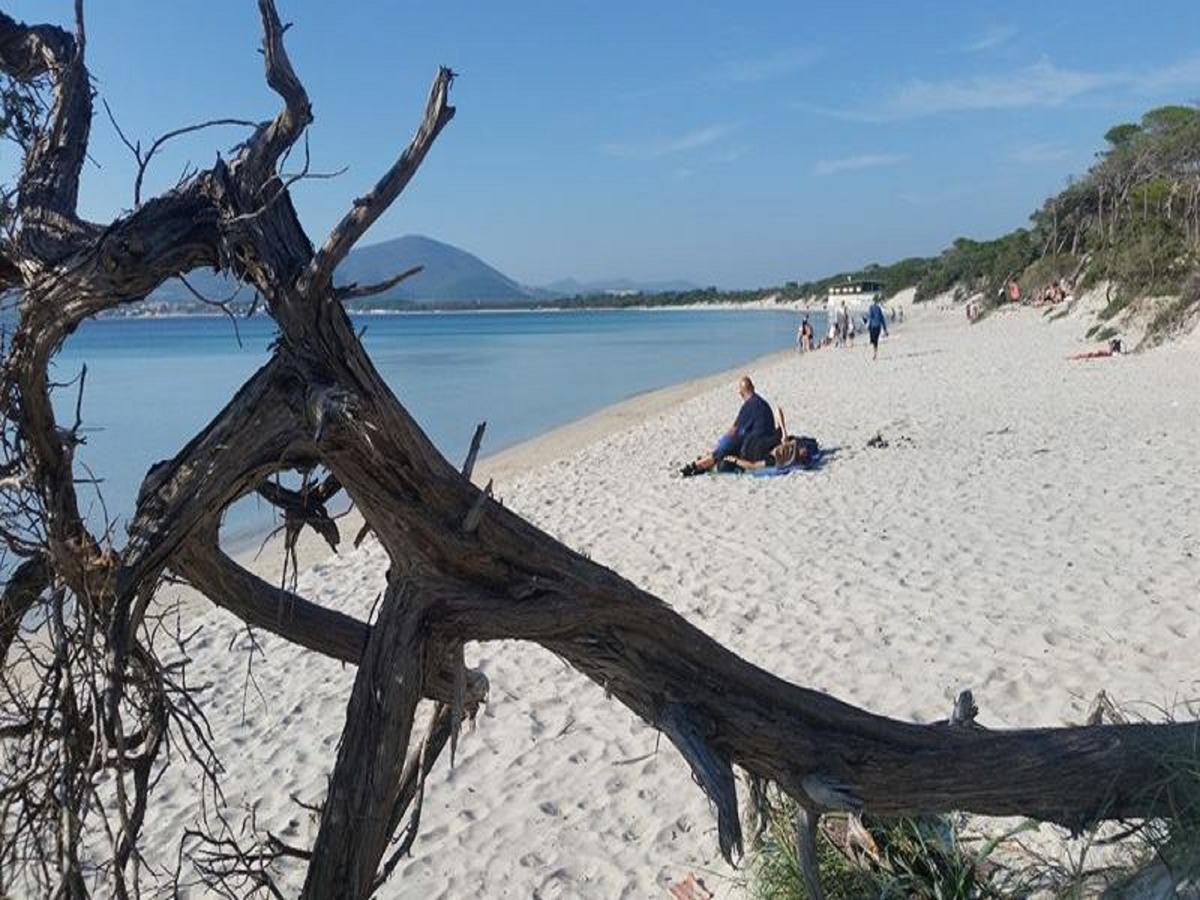 Alma Di Alghero Apartments Kültér fotó